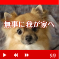 �u���O�̃_�C�W�F�X�g���t�H�g���[�r�[�Ƃ��Ď����쐬����u���O�p�[�c�u�u���O�_�C�W�F�X�g�v�������[�X