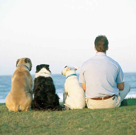 ���������Ɋւ���_�b�|���̂P