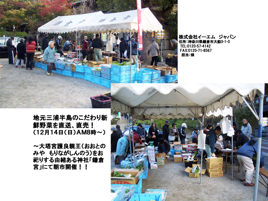 �n���O�Y�����̂������V�N��؂𒼑��A�����I�i�P�Q���P�S���i���j�`�l�W���`�j�`�哃�{��ǐe���i�����Ƃ݂̂�@����Ȃ�����̂��j�����J�肷��R������_�Ёu���q�{�v�ɂĒ��s�J�ÁI�I