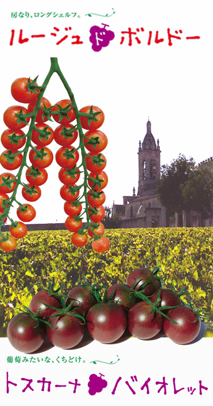 �y�}�E���̒n���C�g�}�g�z�����̂悤�ȐF�ƐH�������g�}�g�w�g�X�J�[�i �o�C�I���b�g�x���̔��X�^�[�g�B