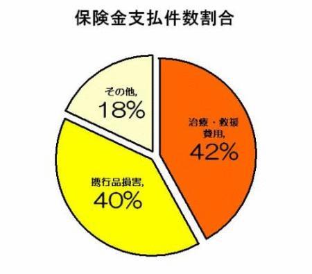 2009�N�C�O���s�ی����̔������̂���