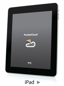 �N���E�h�R���s���[�e�B���O�ɂ�����v�V�I���iWyse PocketCloud �� iPad �T�|�[�g�J�n