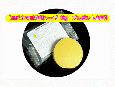 �����J�n����7���l������!! ���烍�[���[�h���r�^�}�S�h�Ƒ������Q�̃��r�^�}�S���\�[�v(10g)���v���[���g!!